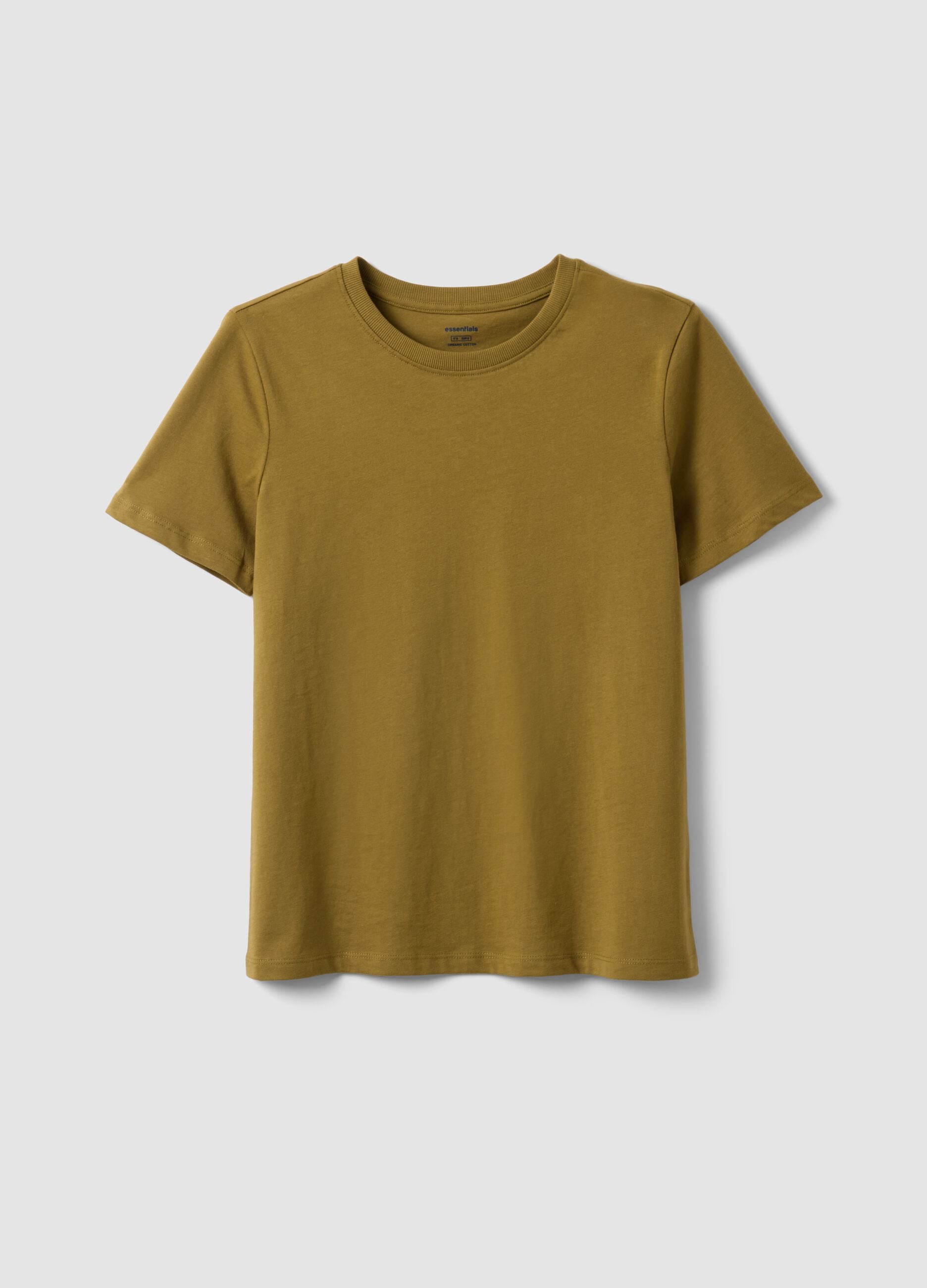 Green pure cotton short-sleeve T-shirt, regular fit