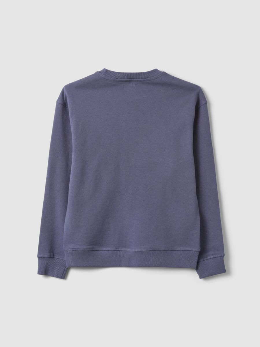 Grey pure cotton sweatshirt with front print for boys, relaxed fit_5