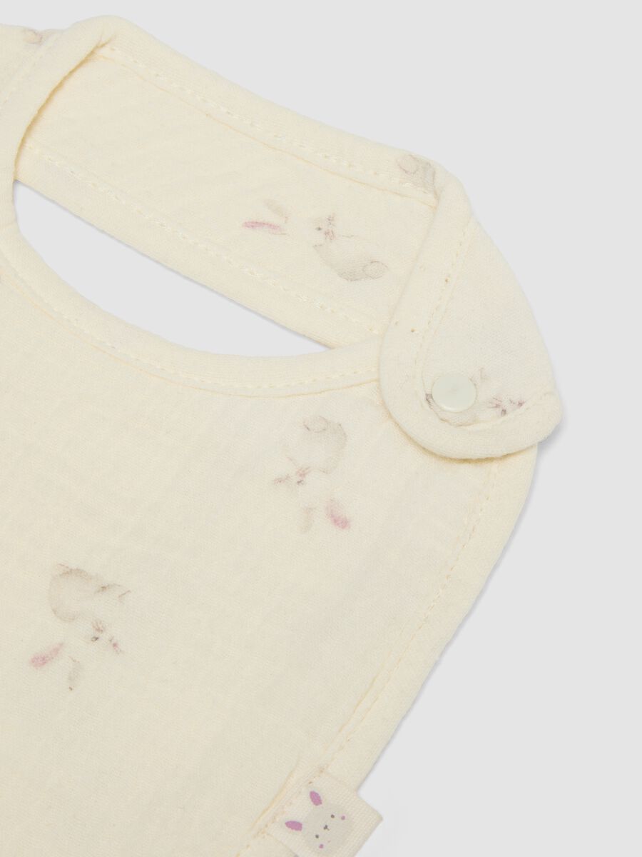 2-pack of multicolour pure cotton bibs for baby girl_1