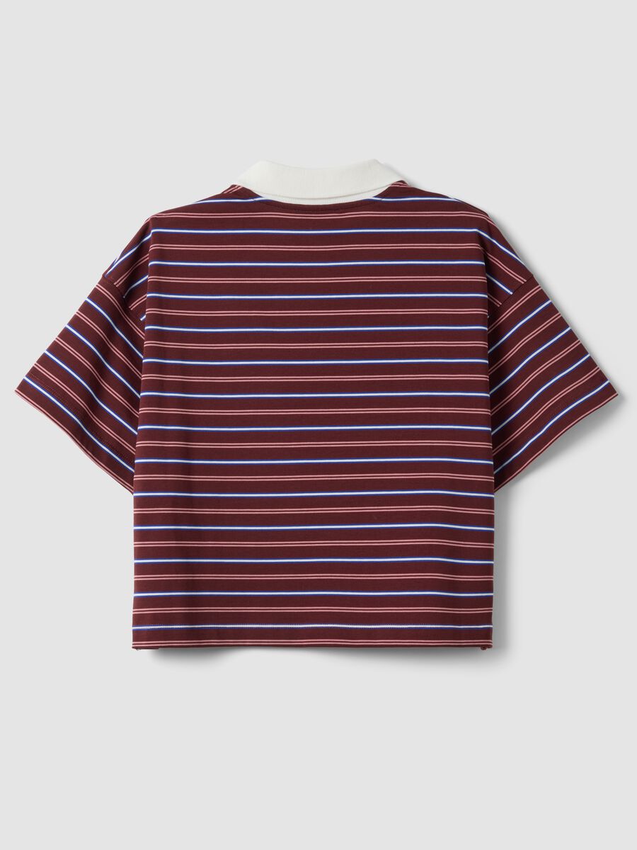 Polo multicolor in puro cotone a righe con colletto over fit_6