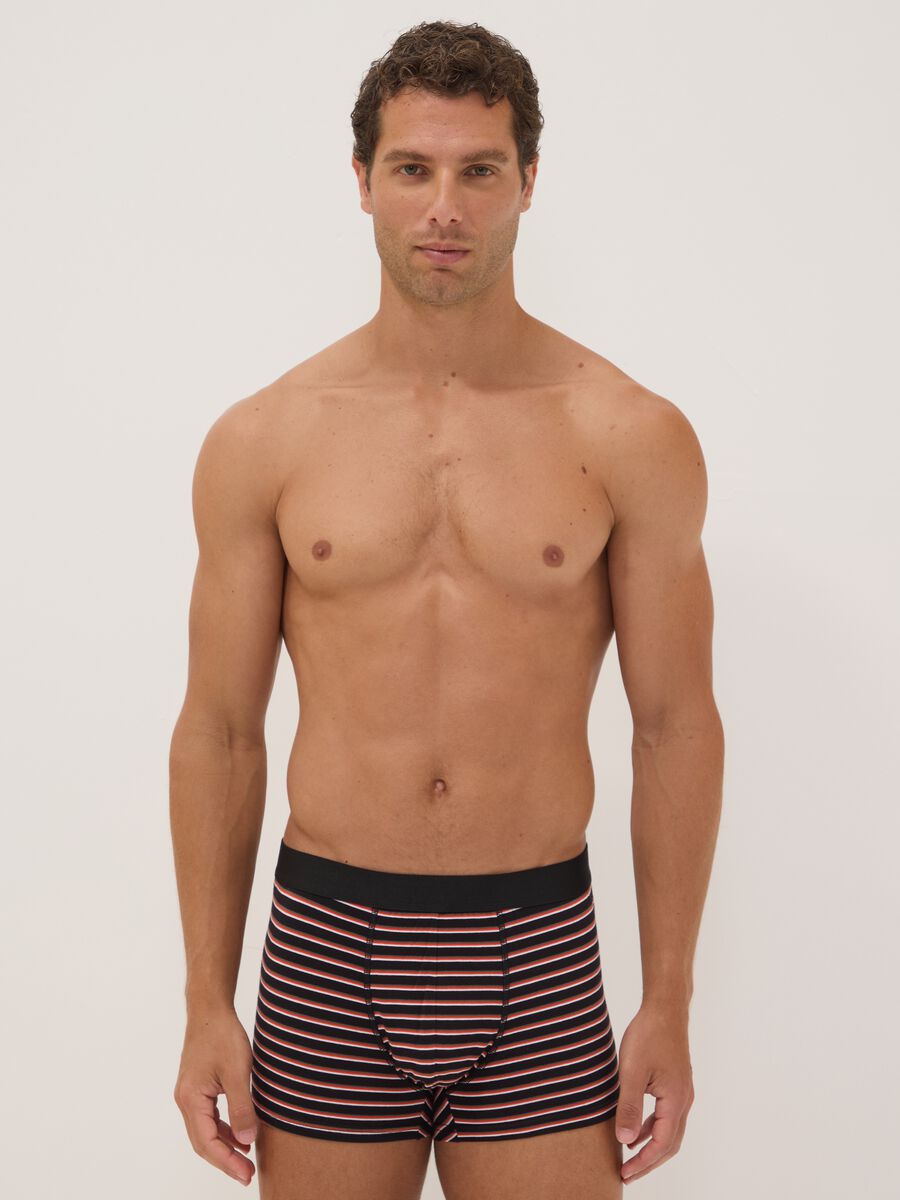 Multipack di cinque boxer multicolor in cotone organico a righe_0