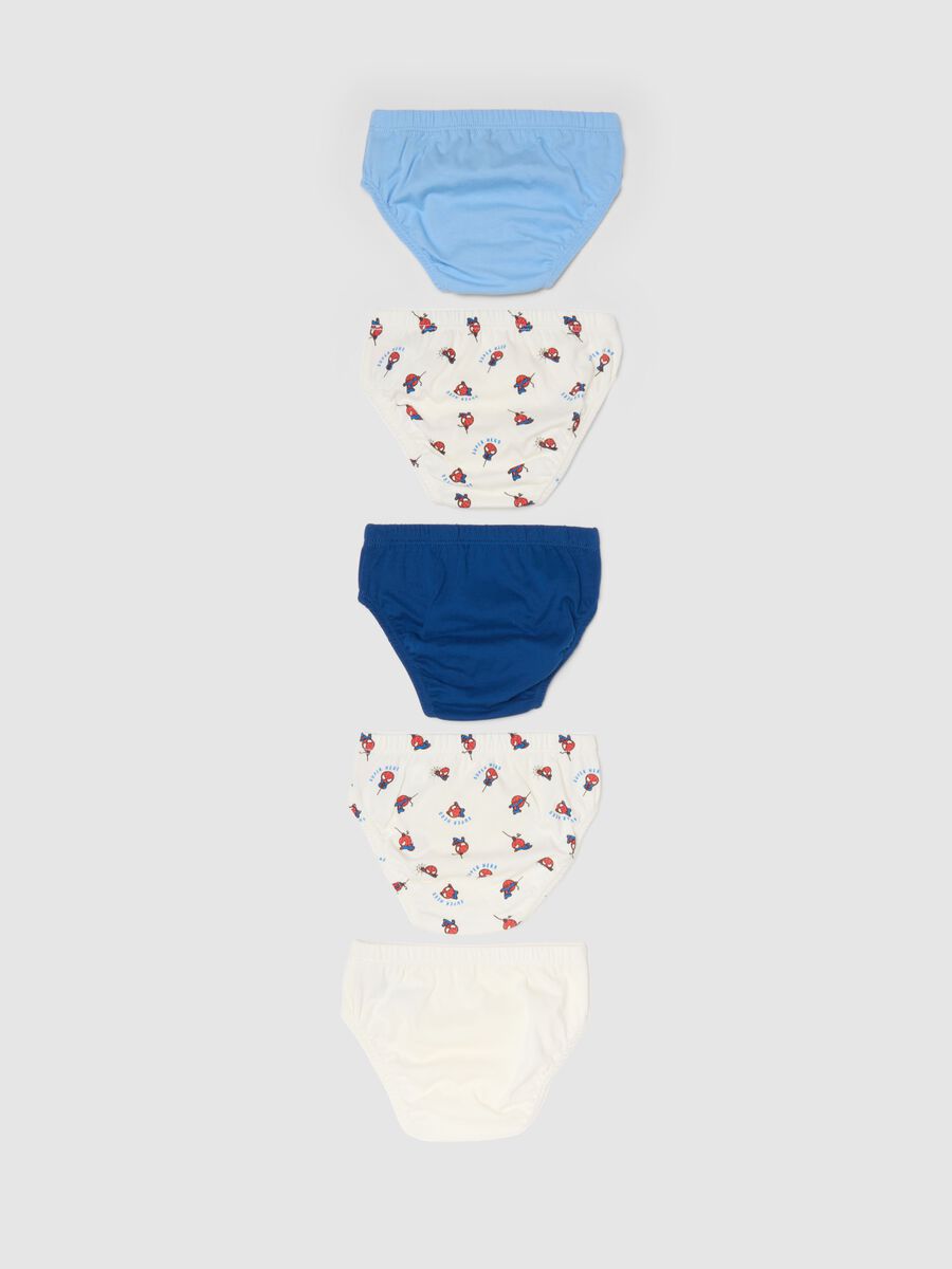 Multipack of pure cotton multicolour regular fit briefs for babies_1