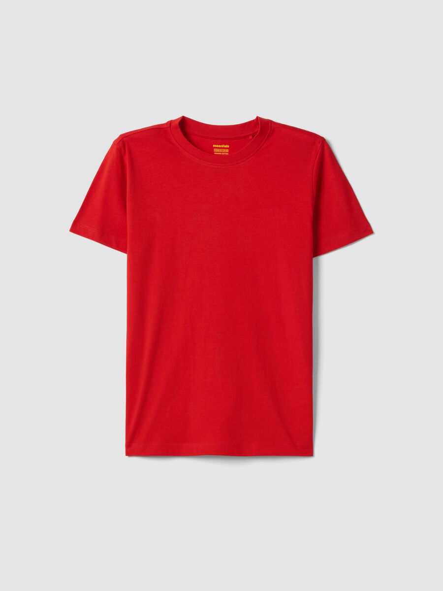 Boys&rsquo; red pure cotton T-shirt, regular fit_3