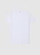 White regular fit crew neck T-shirt in pure cotton_4