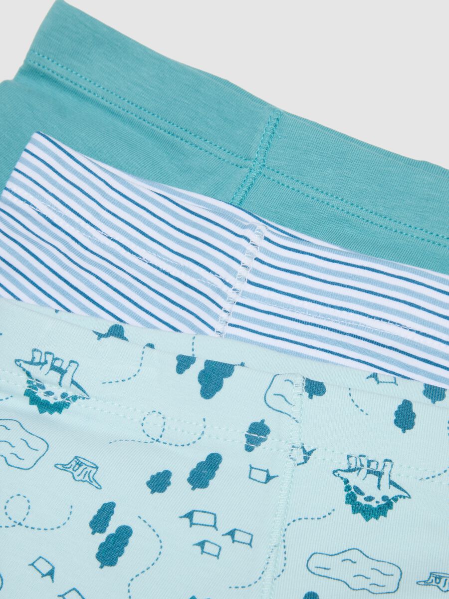 Multipack of five multicoloured stretch cotton boxers_2