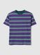 Multicolour striped pure cotton t-shirt regular fit_4