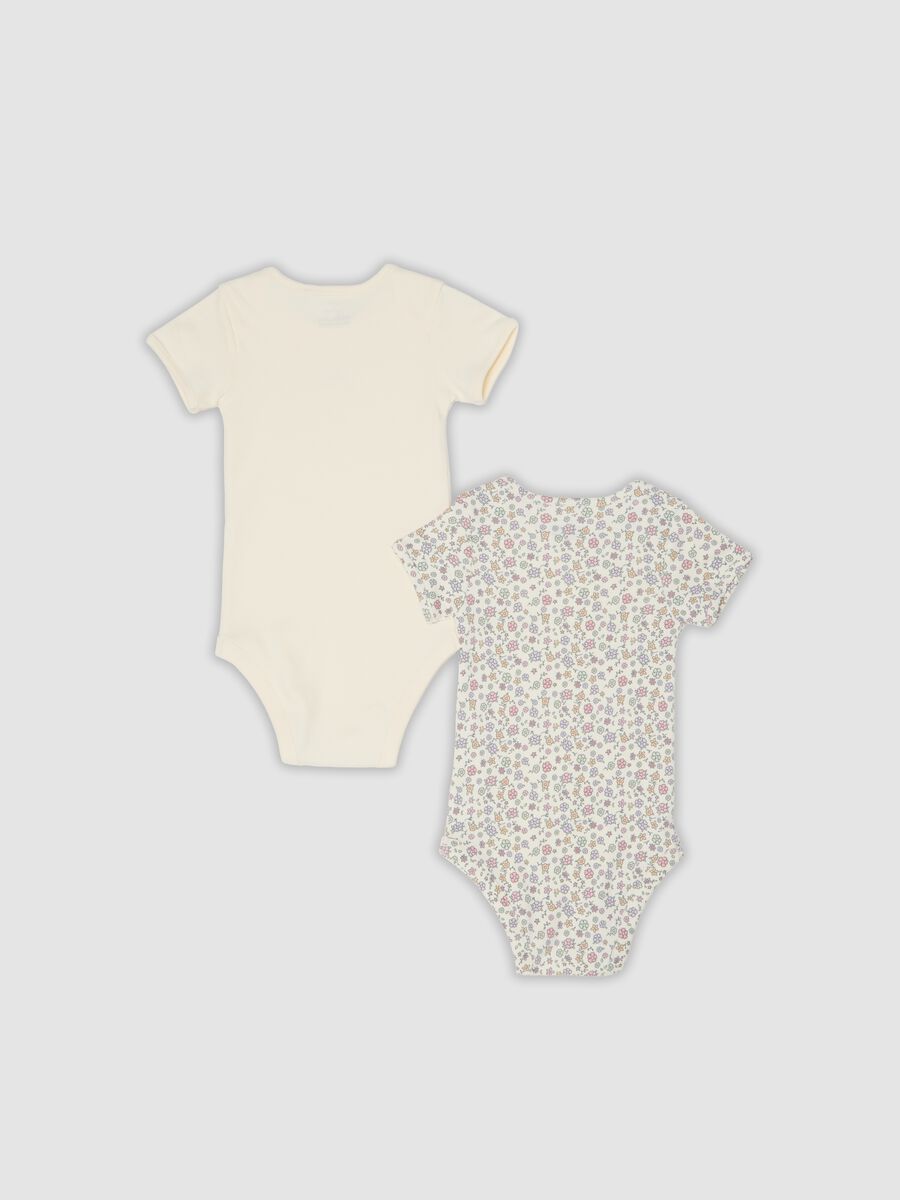 2-pack of multicolour organic cotton short-sleeve bodysuits_1