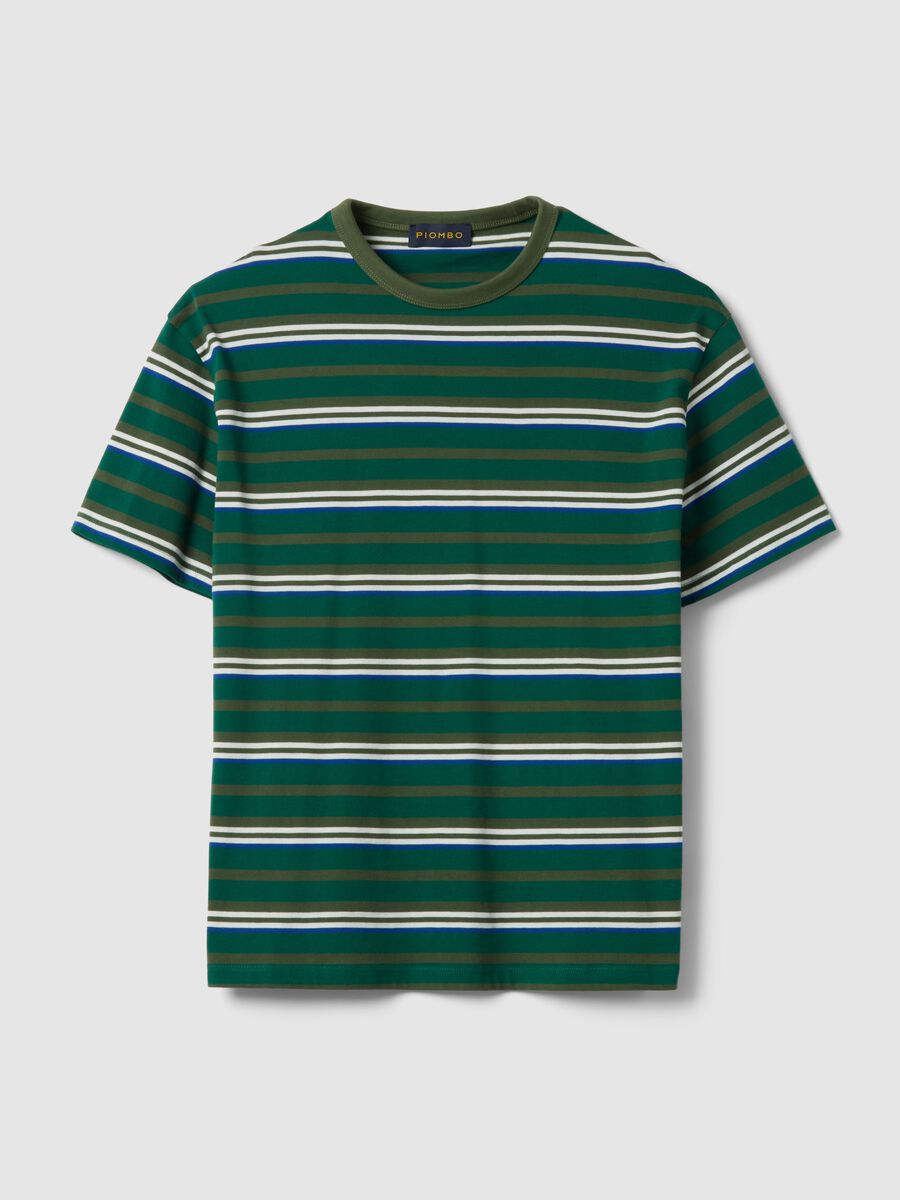 Pure Cotton Multicolour Striped T-shirt Regular Fit_4