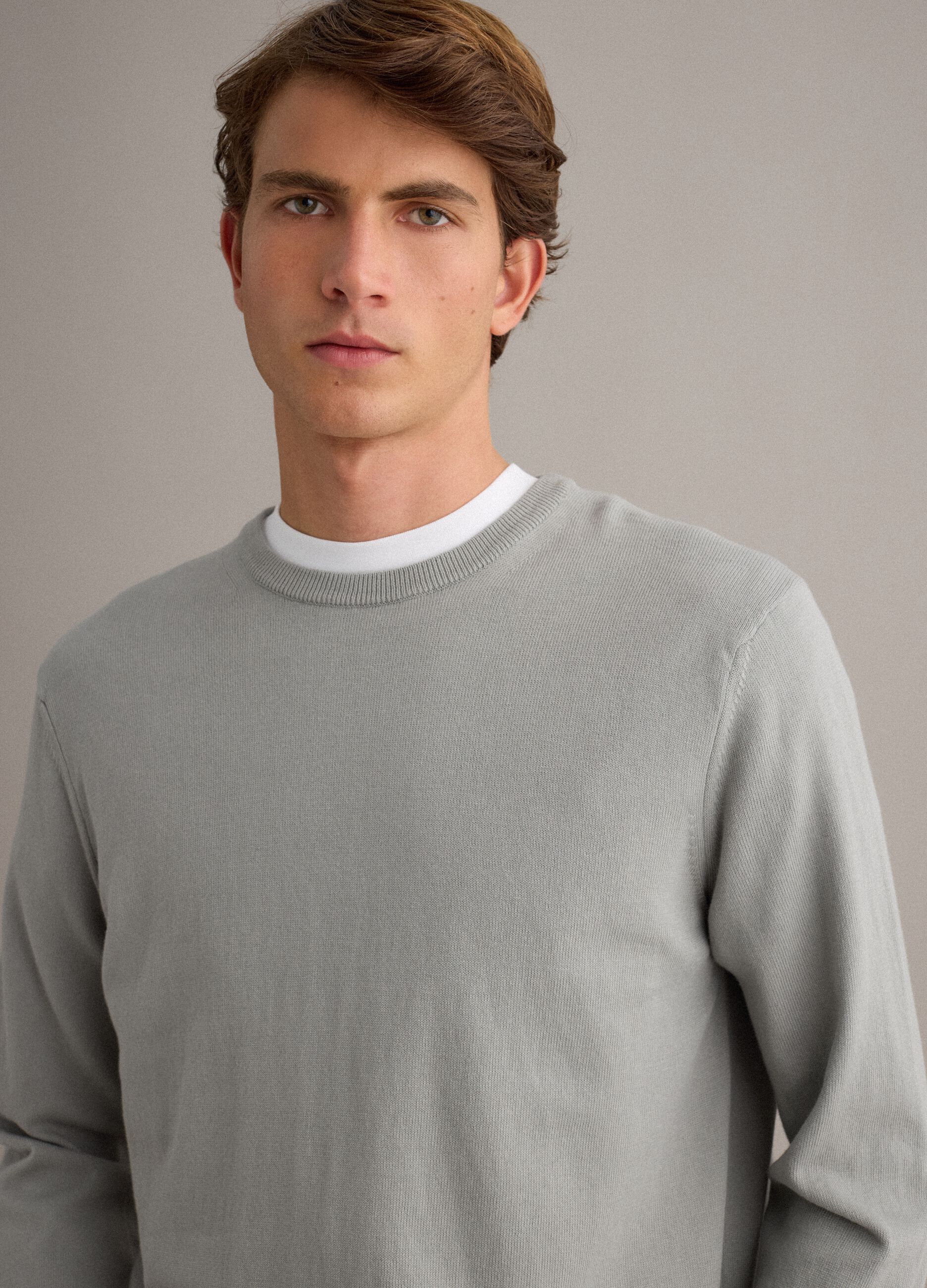 Grey pure cotton jumper regular fit