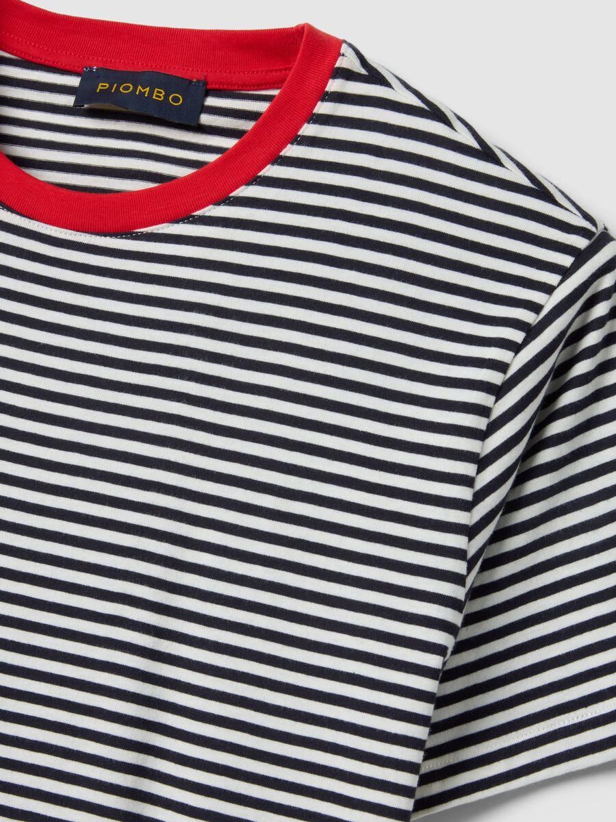 Regular fit multicolour striped pure cotton T-shirt_5