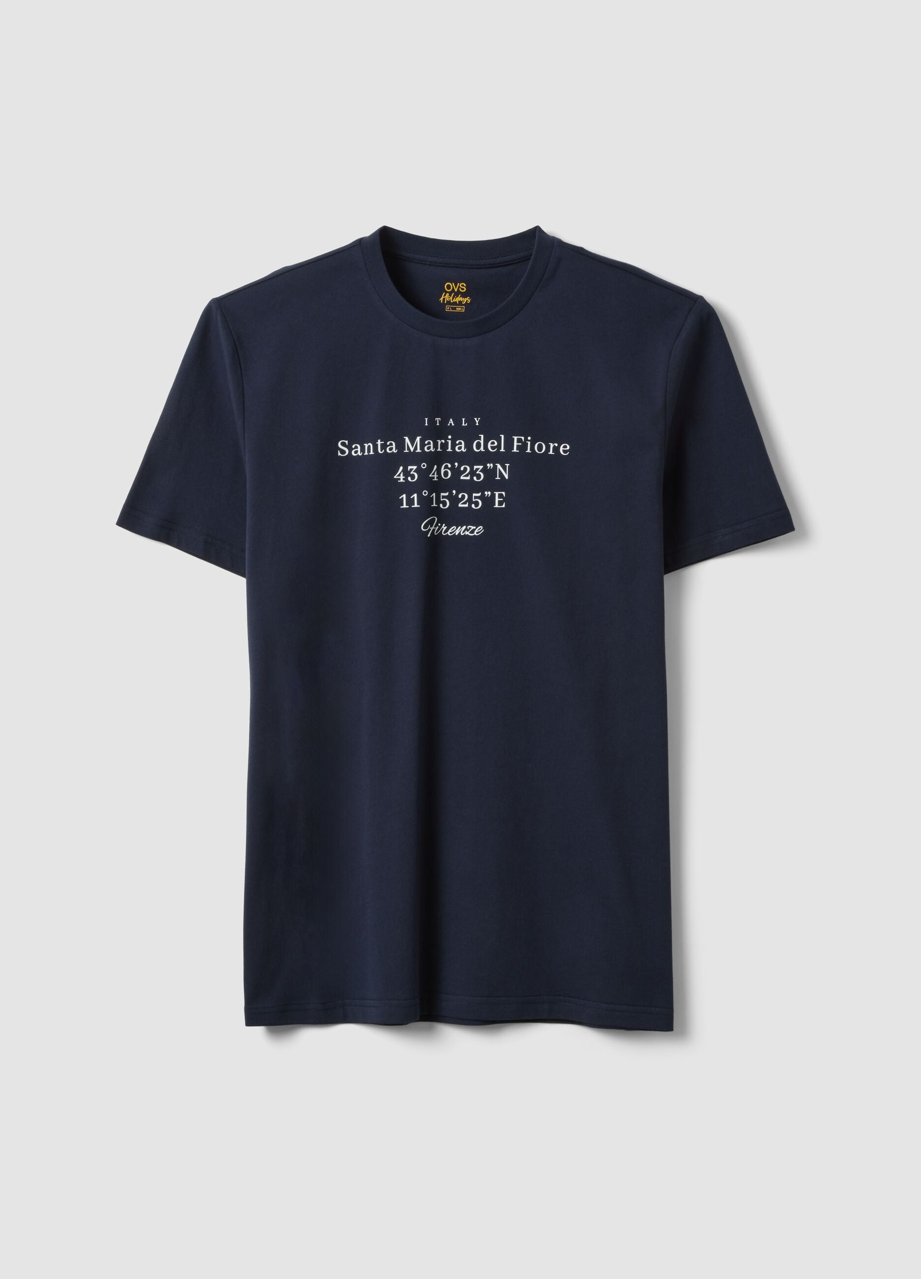 Blue short-sleeved pure cotton regular fit T-shirt