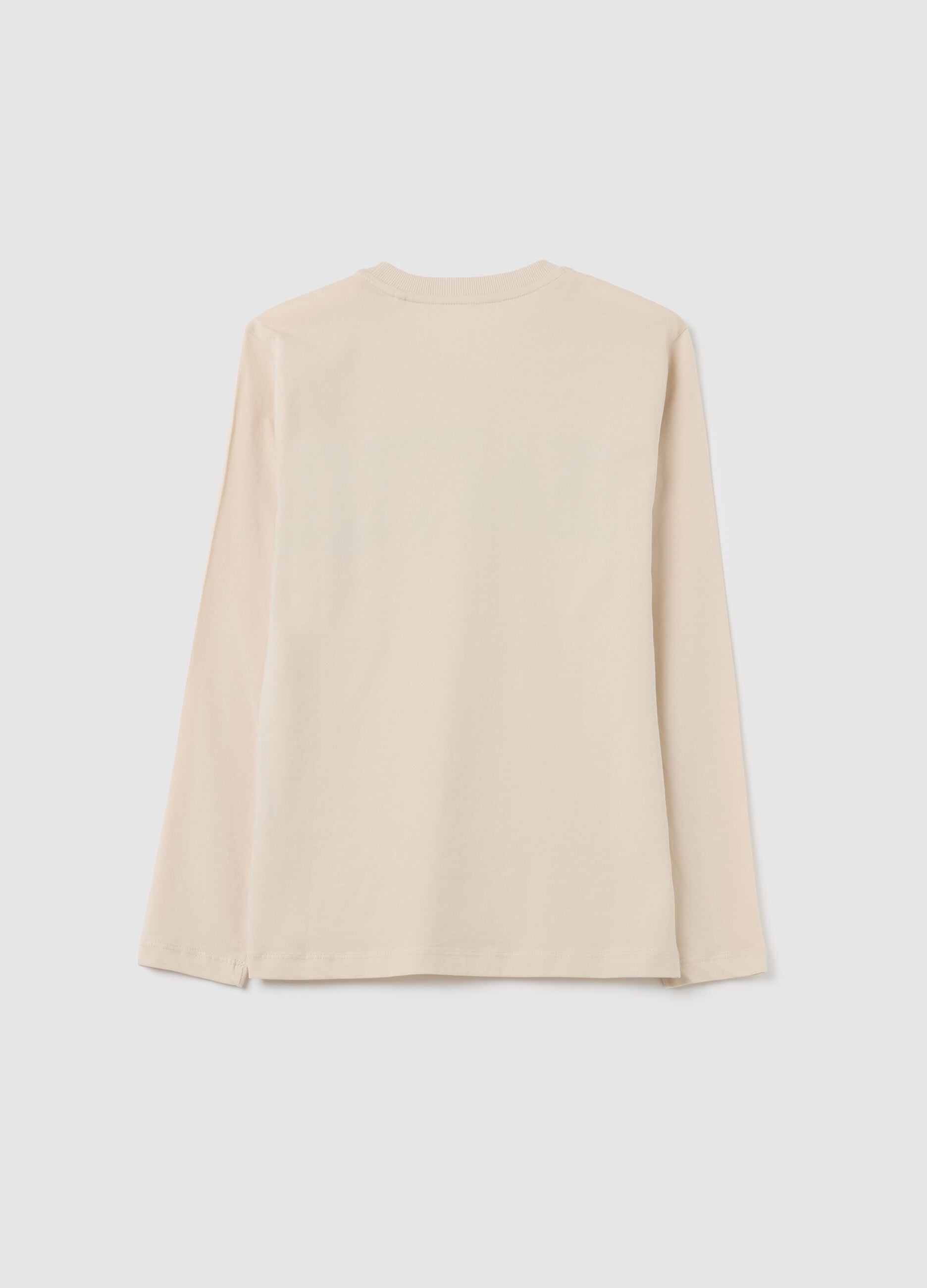 Boys' Beige Pure Cotton Regular Fit Jumper