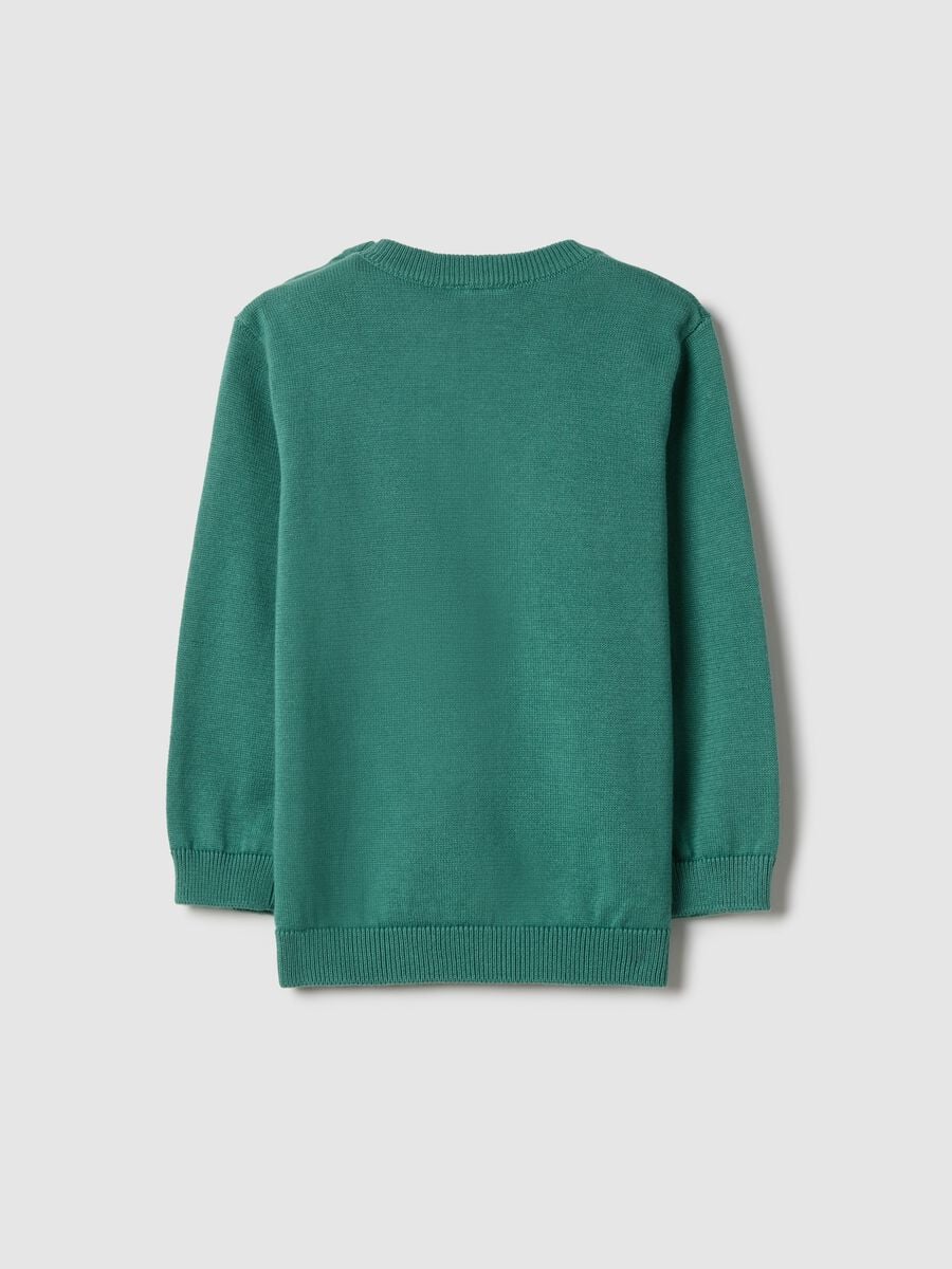Green pure cotton crewneck sweater for children in regular fit_1