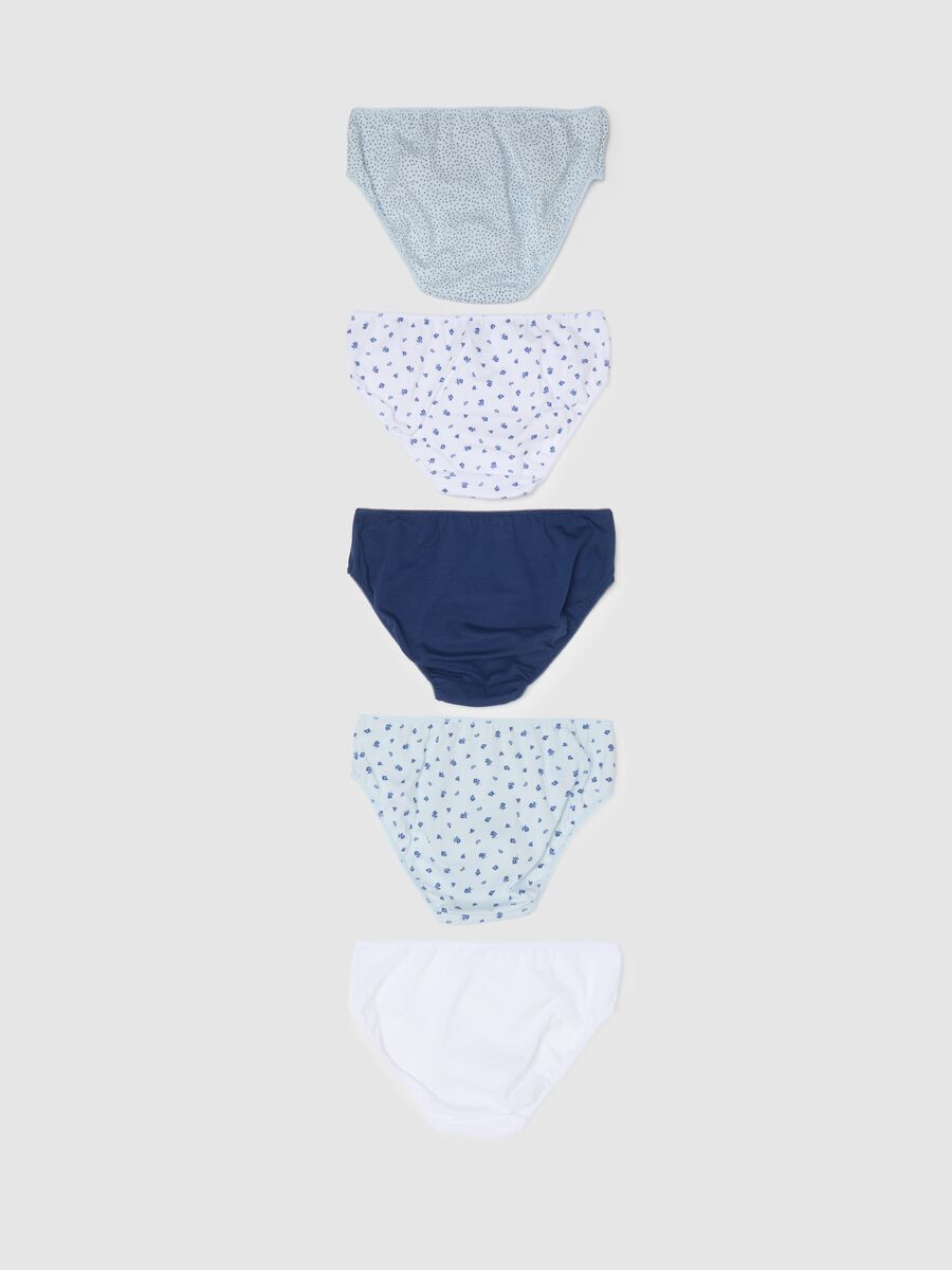 Girls' Pure Cotton Multicolour Multipack Knickers_1