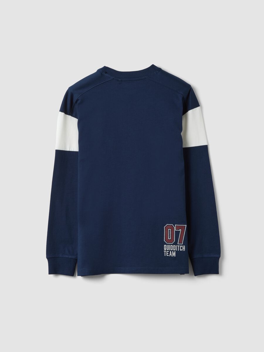 T-shirt blu in puro cotone con girocollo e stampa Harry Potter per ragazzo_5