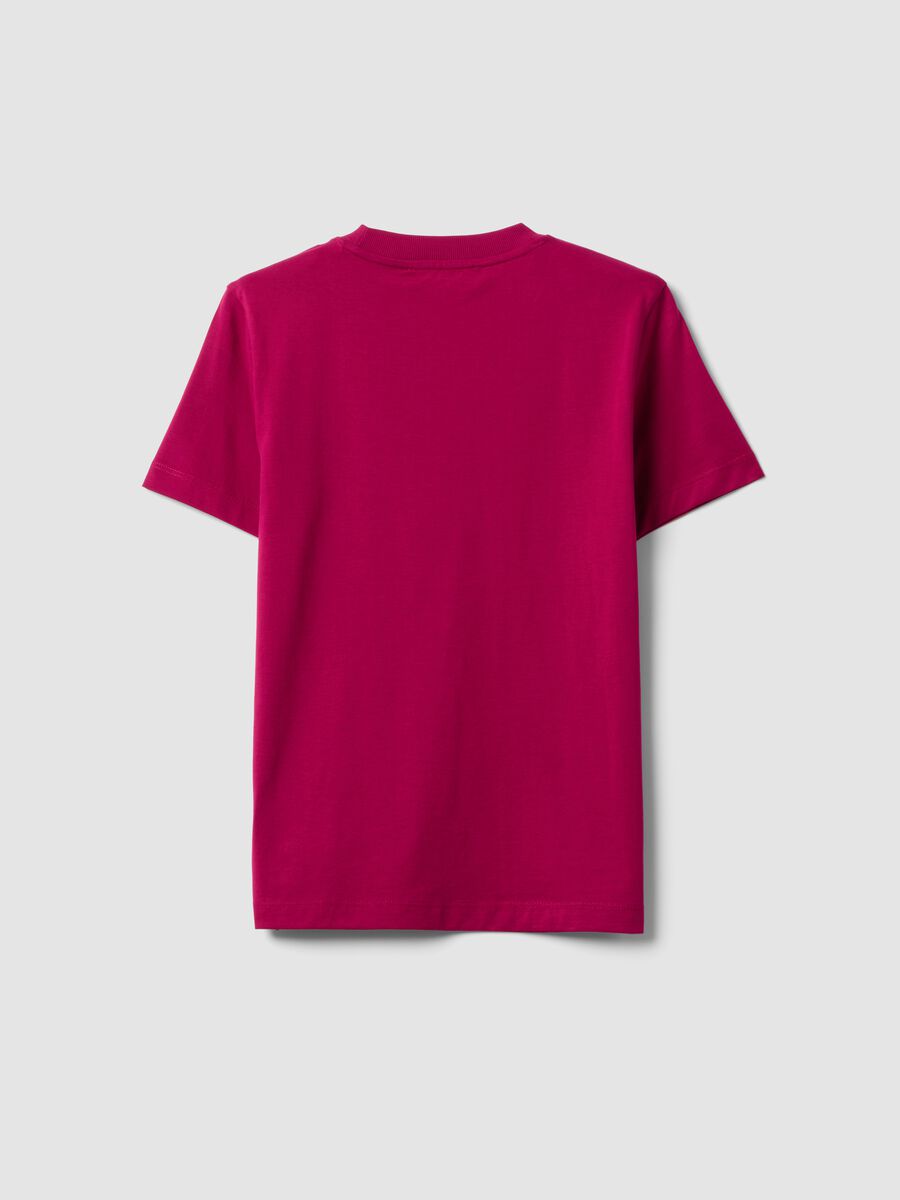 T-shirt girocollo rosa in puro cotone Supima regular fit_1