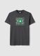 Grey pure cotton T-shirt regular fit with Boston Celtics print_4