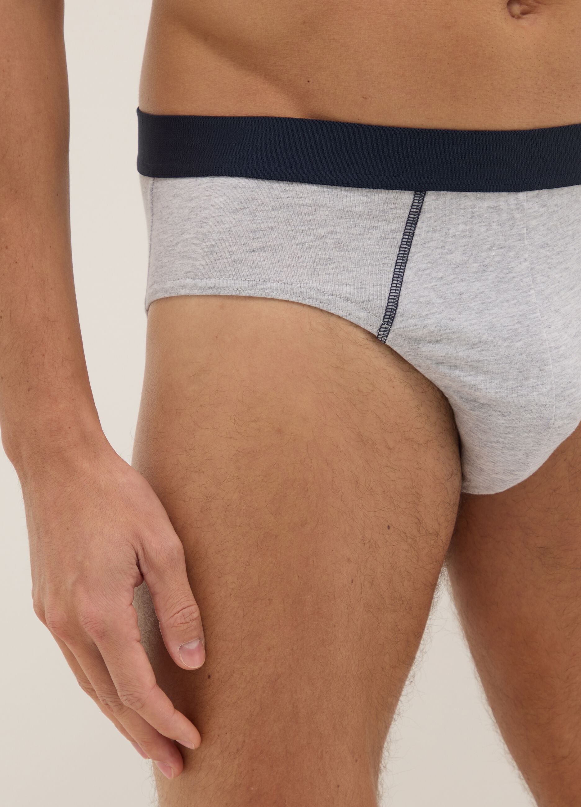 Multipack multicolour regular fit elasticated cotton briefs