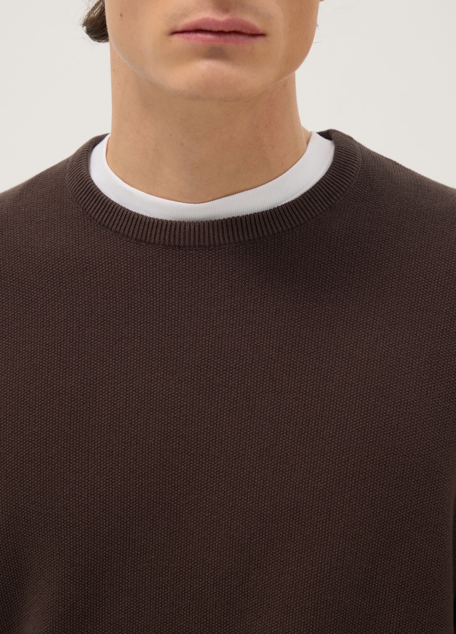 Brown crew neck sweater in pure cotton regular fit