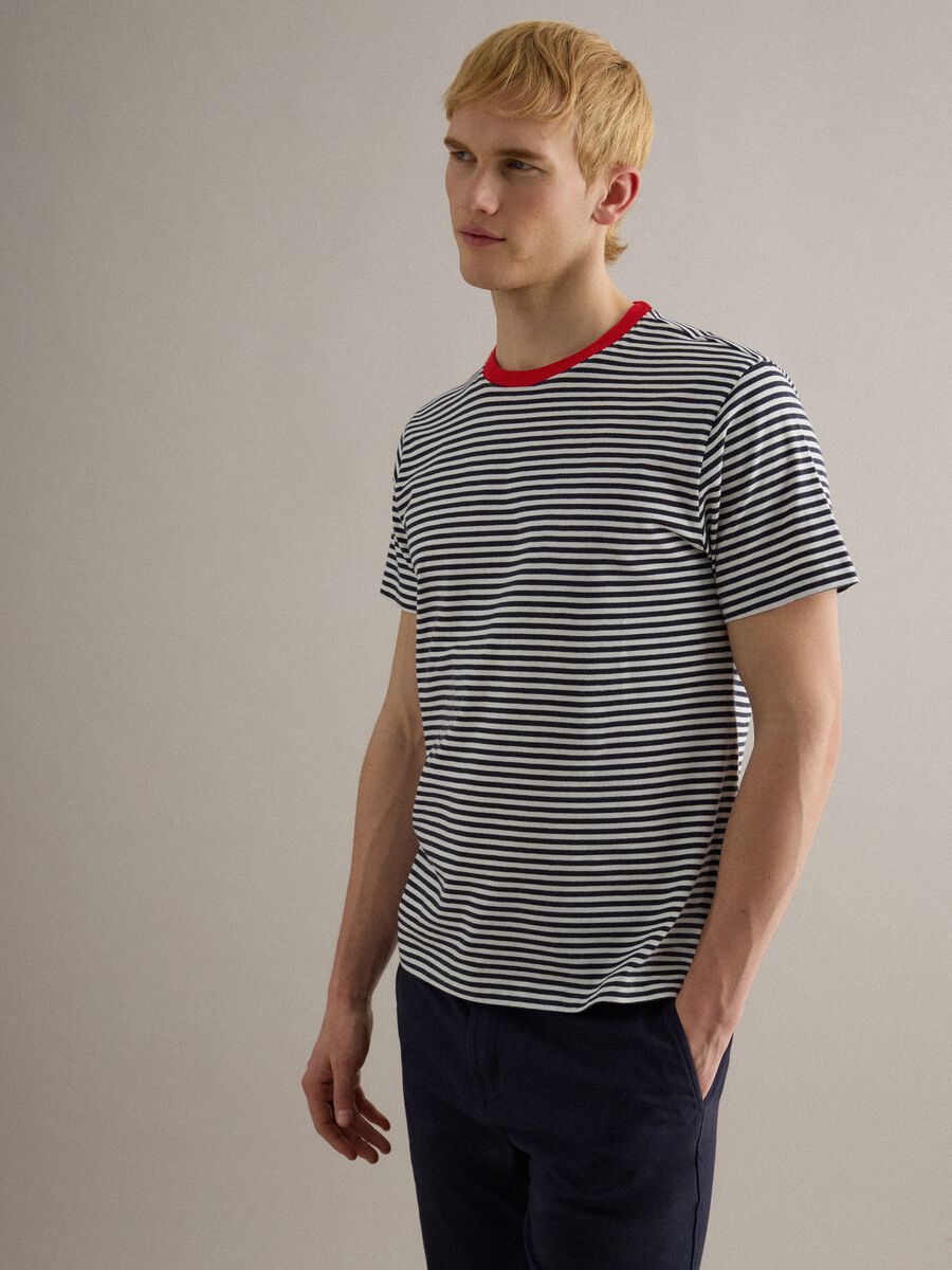 Regular fit multicolour striped pure cotton T-shirt_1