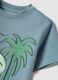 Blue pure cotton boys&rsquo; T-shirt with surf print, regular fit_2