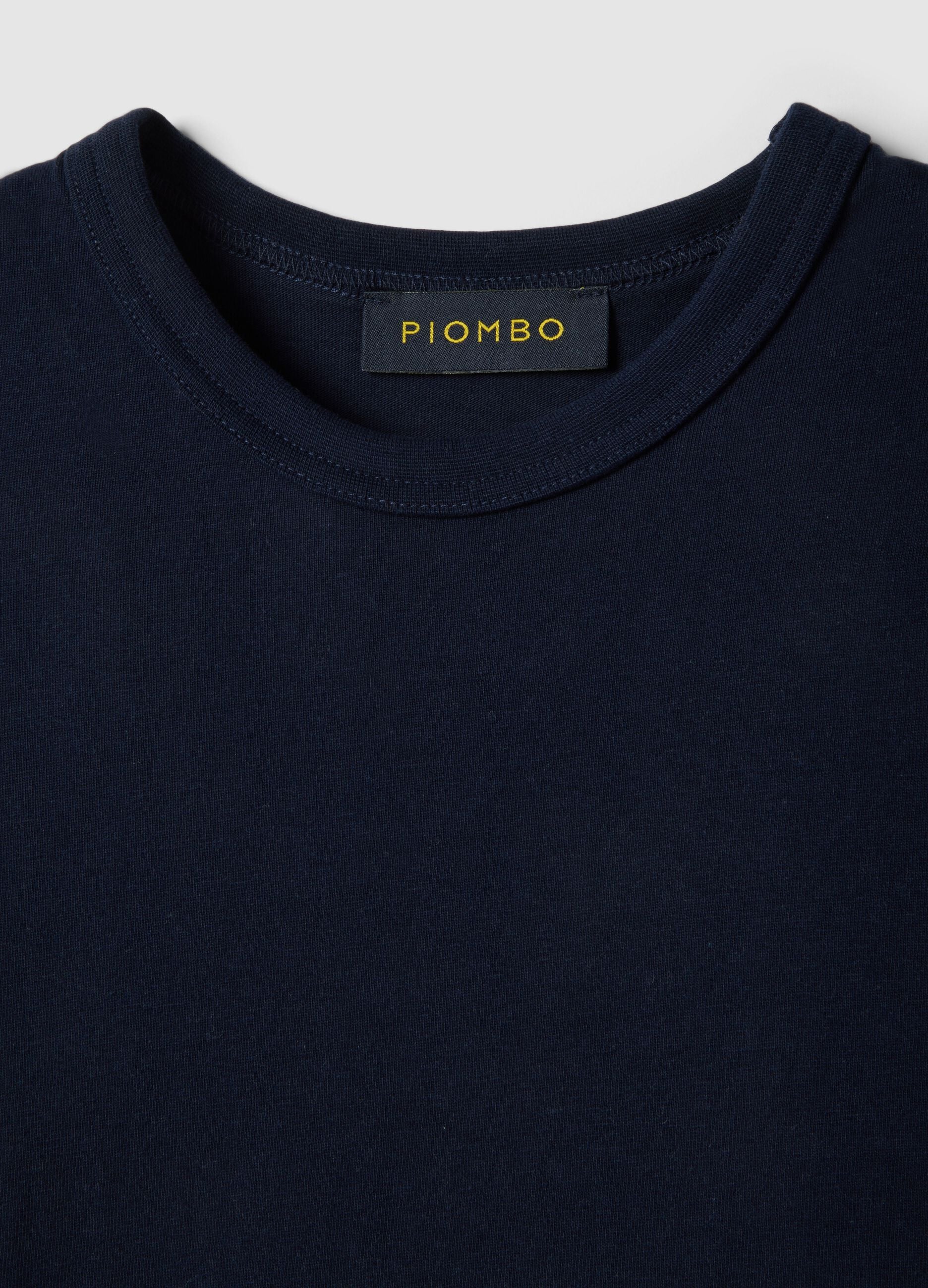 Regular Fit Blue Crewneck Pure Cotton T-Shirt