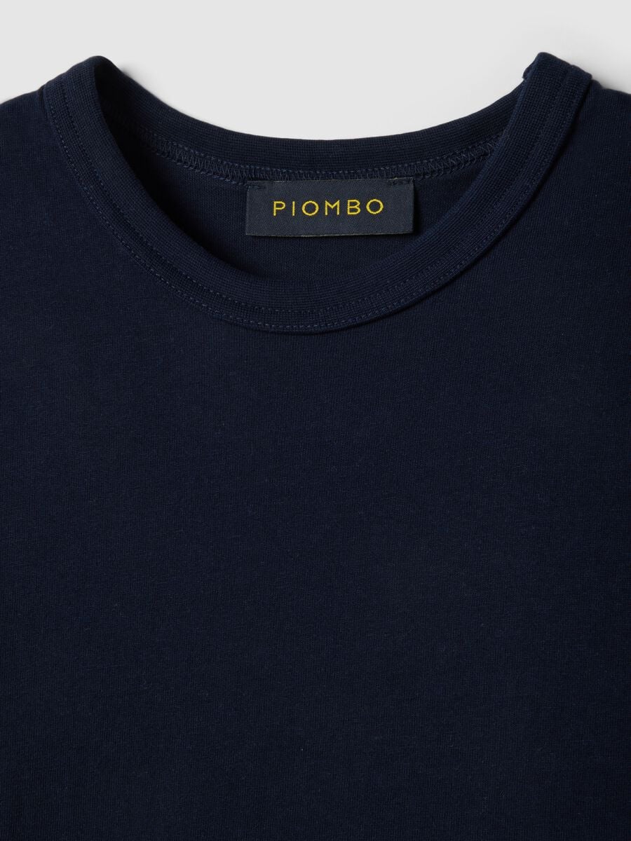 Regular Fit Blue Crewneck Pure Cotton T-Shirt_5