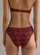 Brown embroidered stretch bikini bottoms_2
