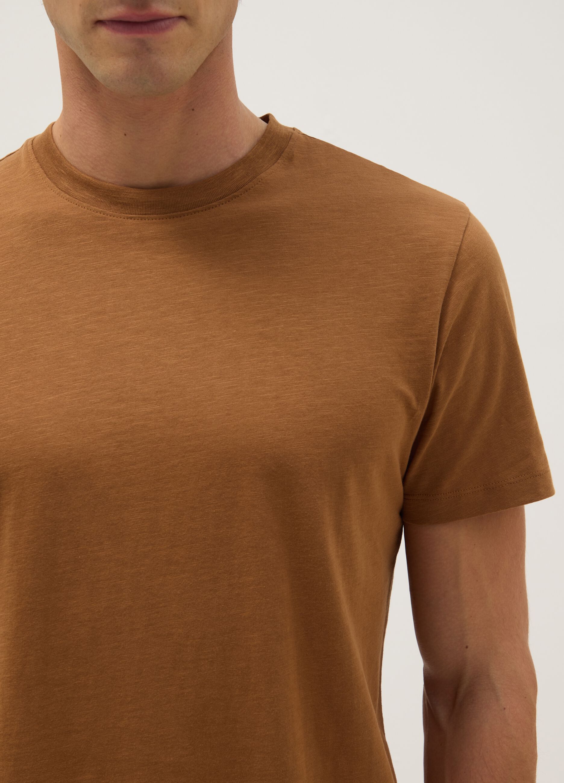 Brown Pure Cotton Regular Fit T-Shirt
