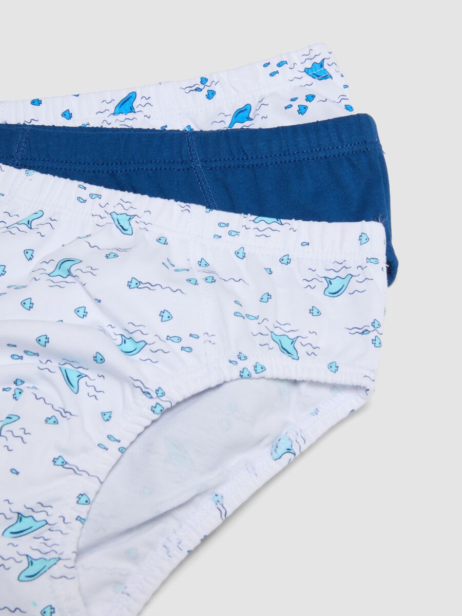 Boys&rsquo; multicolour pure cotton multipack briefs_3