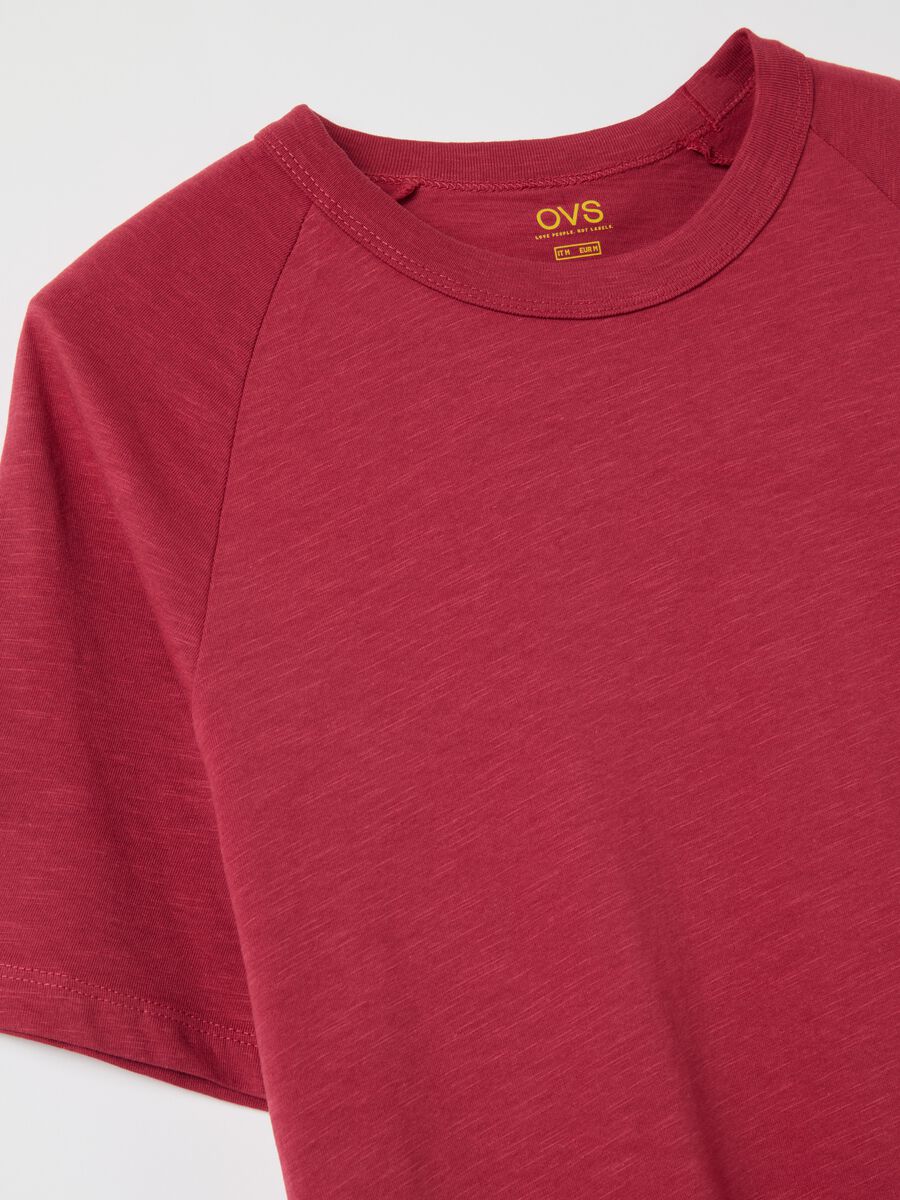 Organic cotton T-shirt_5