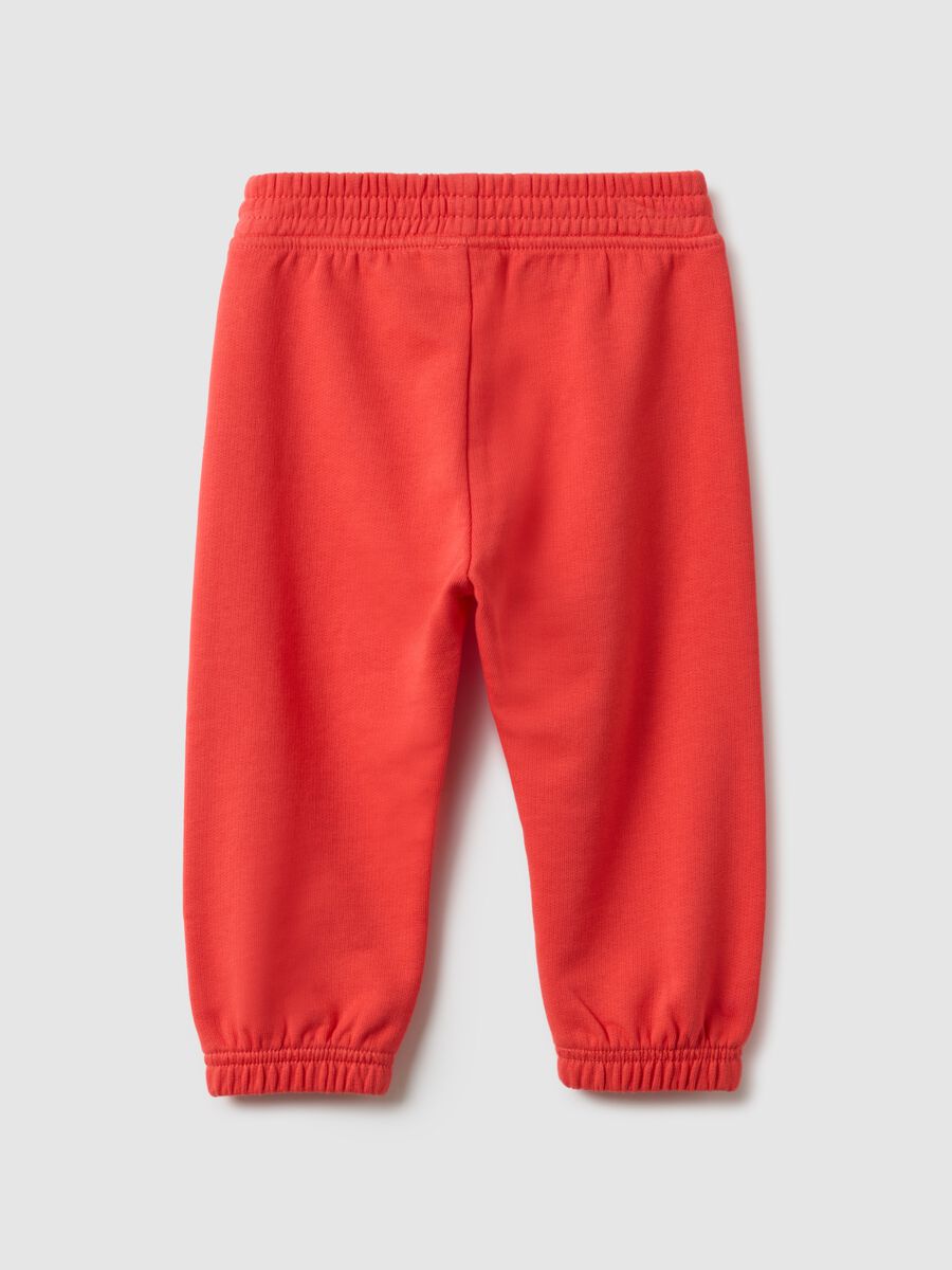 Girls' Orange Cotton Jogger Trousers, Regular Fit_1