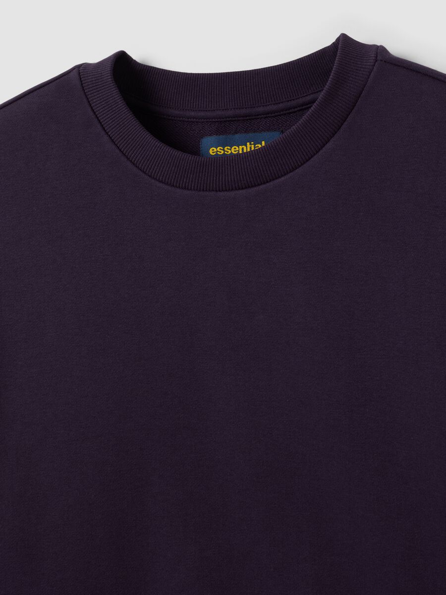 Felpa viola in misto cotone a girocollo regular fit_1