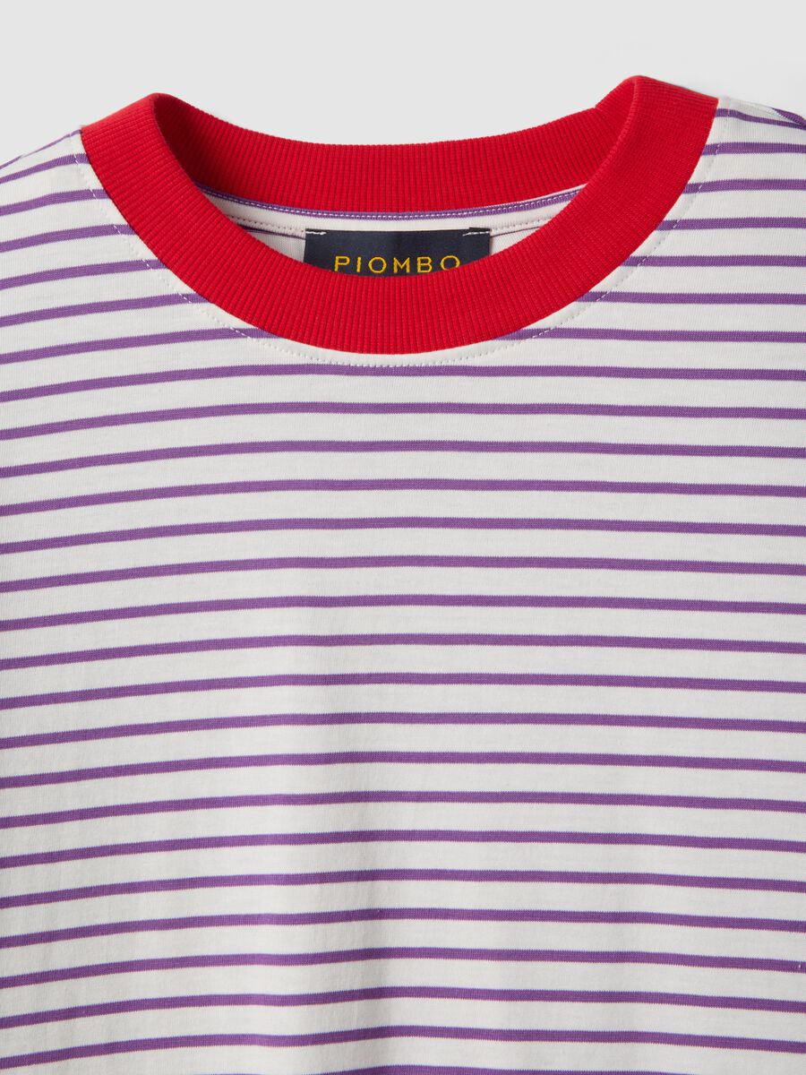 T-shirt bianca a righe viola regular fit in puro cotone Supima_5