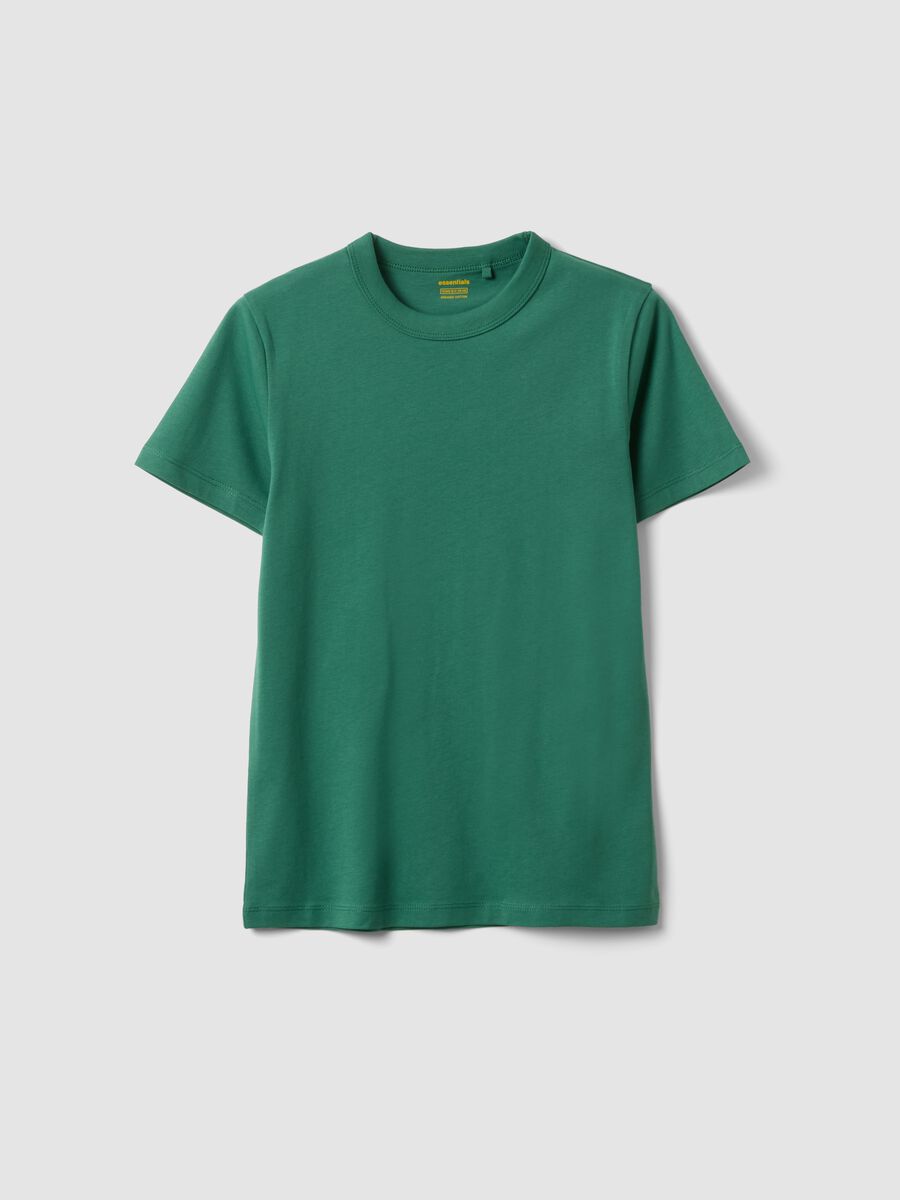 Boys&rsquo; green pure cotton regular-fit T-shirt_3