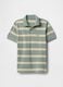 Green and beige striped polo_0