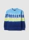 Kids' Regular Fit Multicolour Tie-Dye Pure Cotton Sweatshirt_3