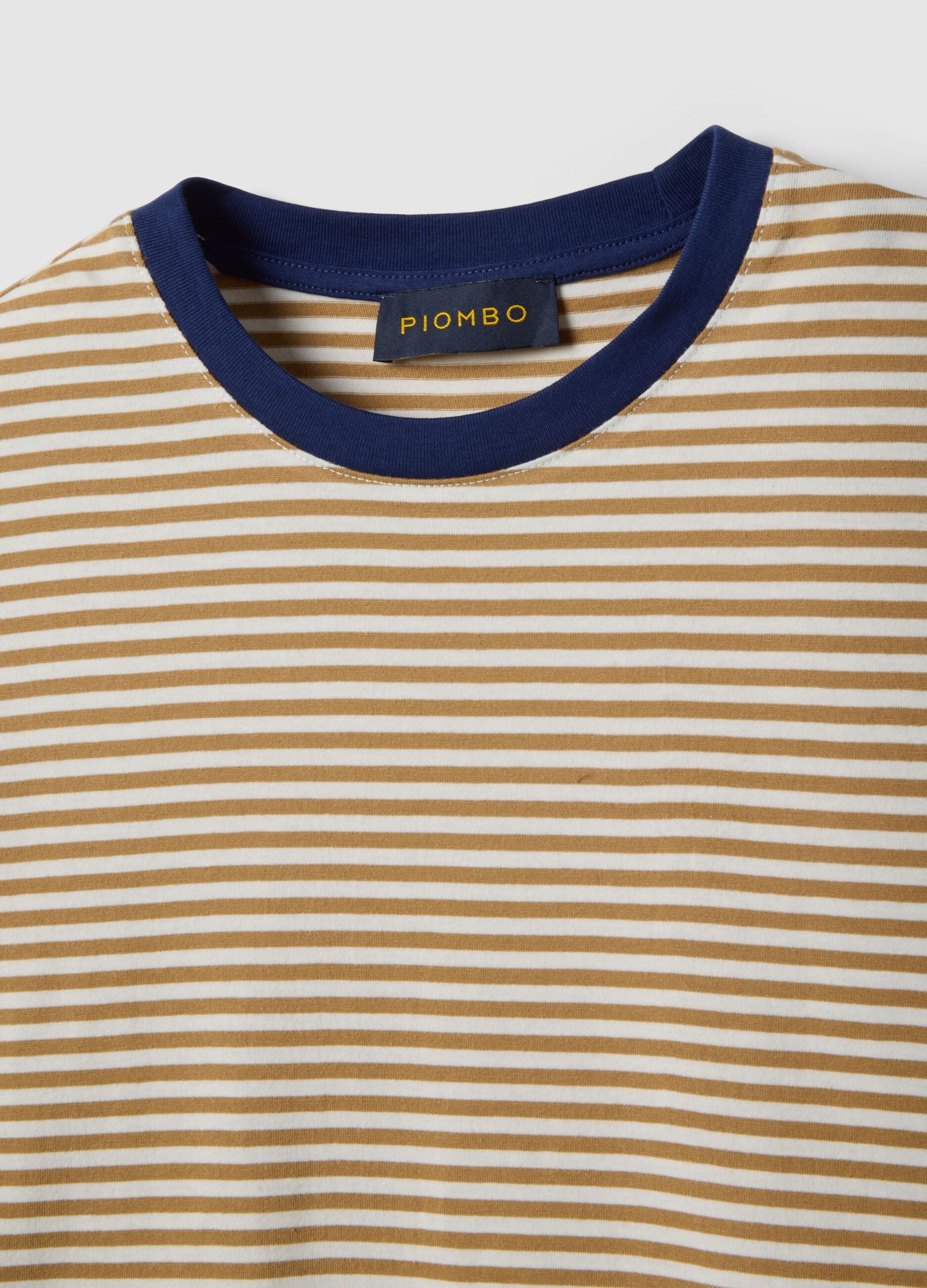 Multicolour striped pure cotton t-shirt regular fit