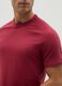 Organic cotton T-shirt_3
