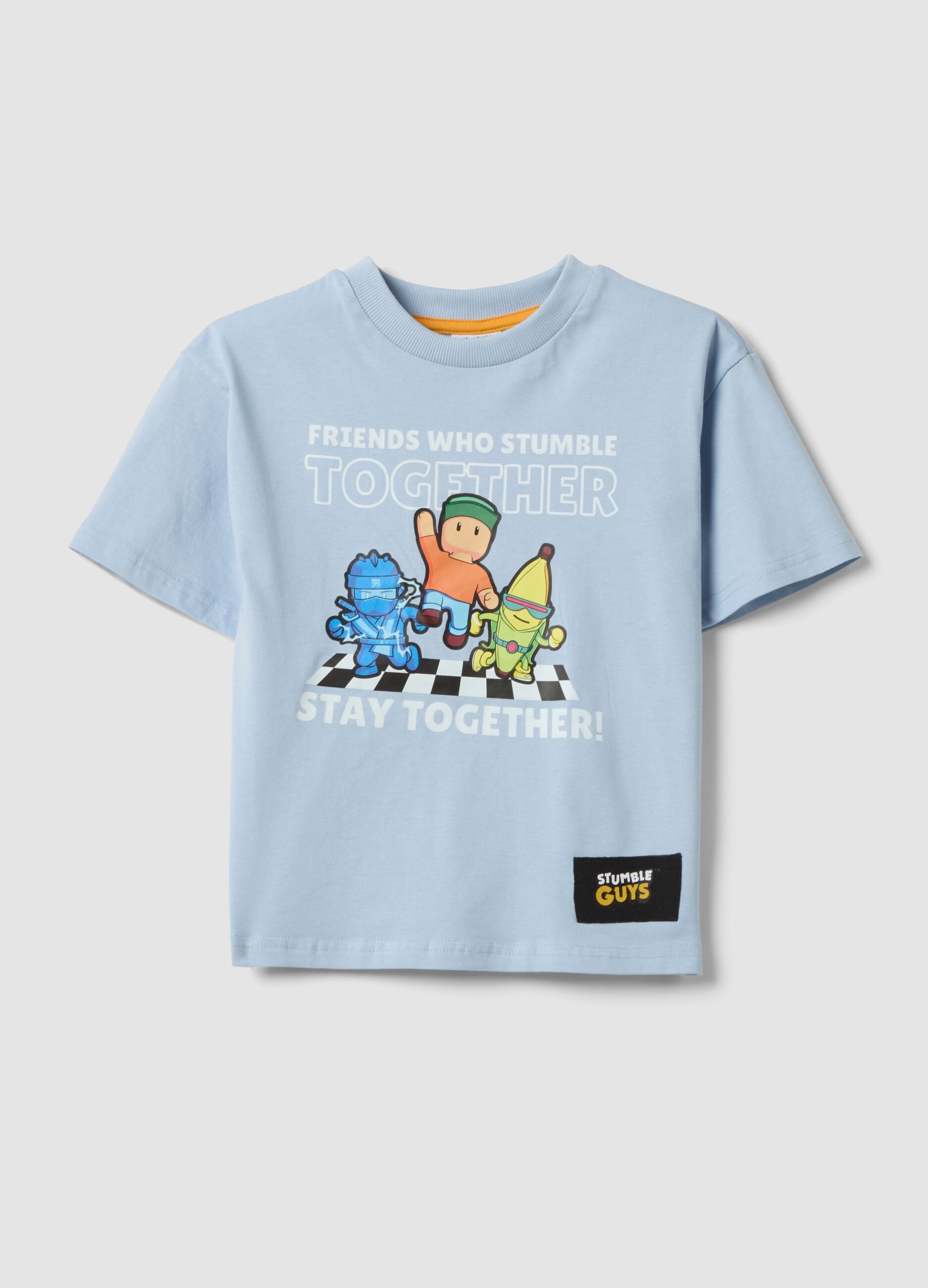 Light blue pure cotton printed T-shirt, regular fit