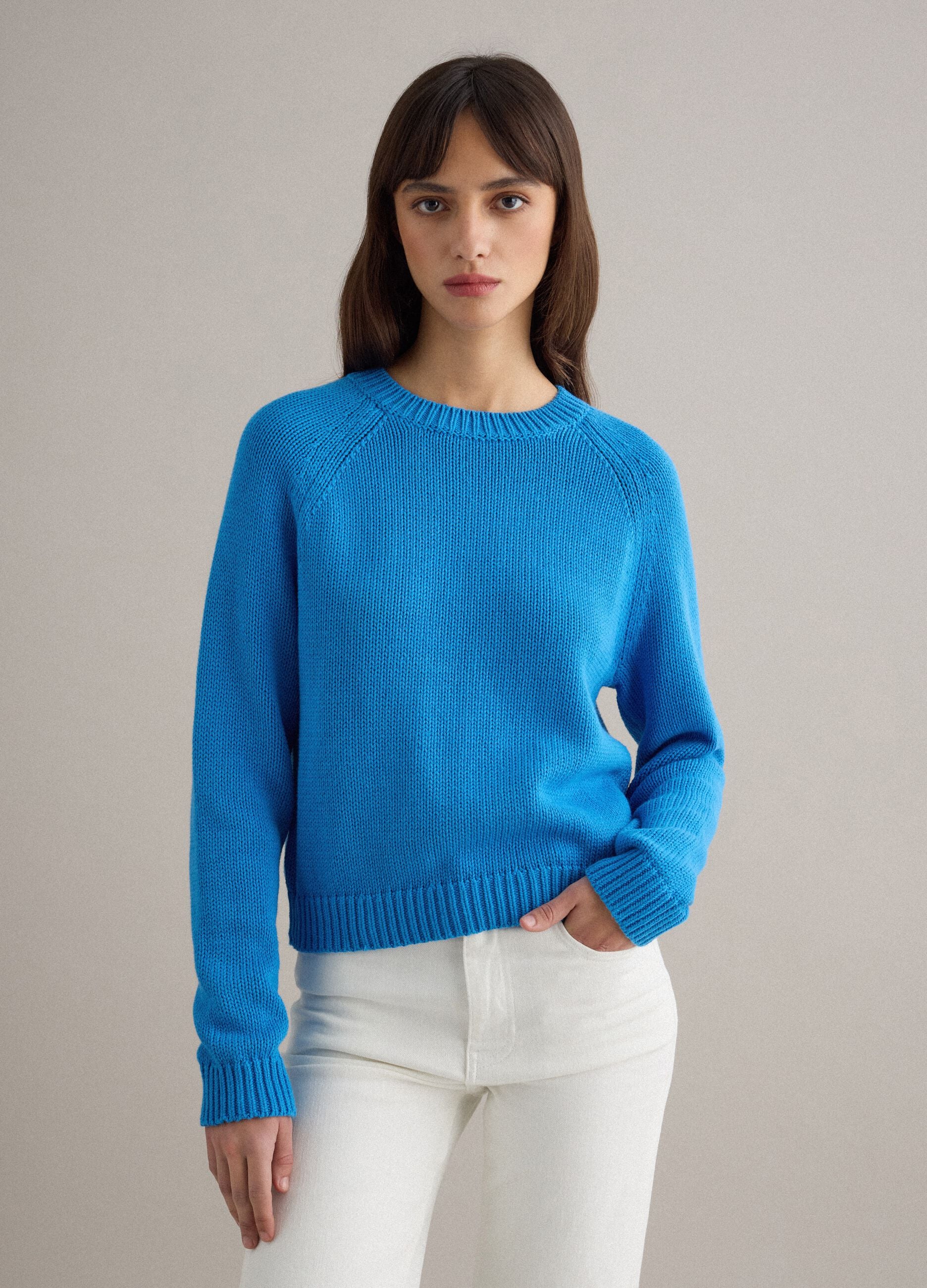 Blue crew neck jumper in pure cotton regular fit