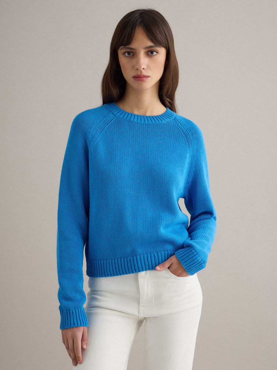 Blue crew neck jumper in pure cotton regular fit_0