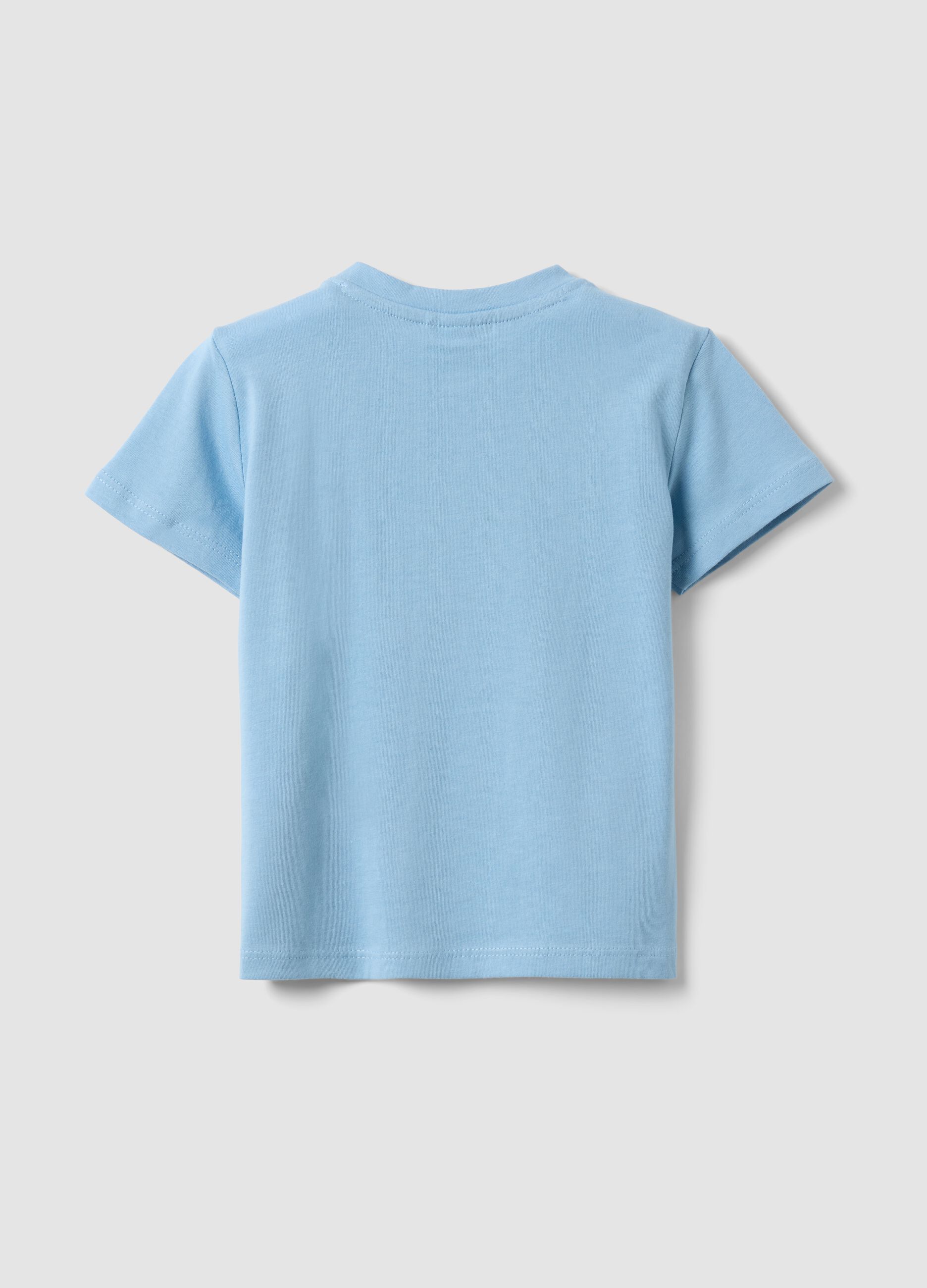 Light Blue Pure Cotton Boys&rsquo; Regular Fit T-shirt with Print
