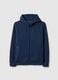 Blue Regular Fit Hooded Sweatshirt with Front Zip Neck_4