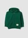 Green pure cotton hoodie, regular fit, for boys_3