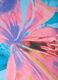 Multicolour floral print scarf_1