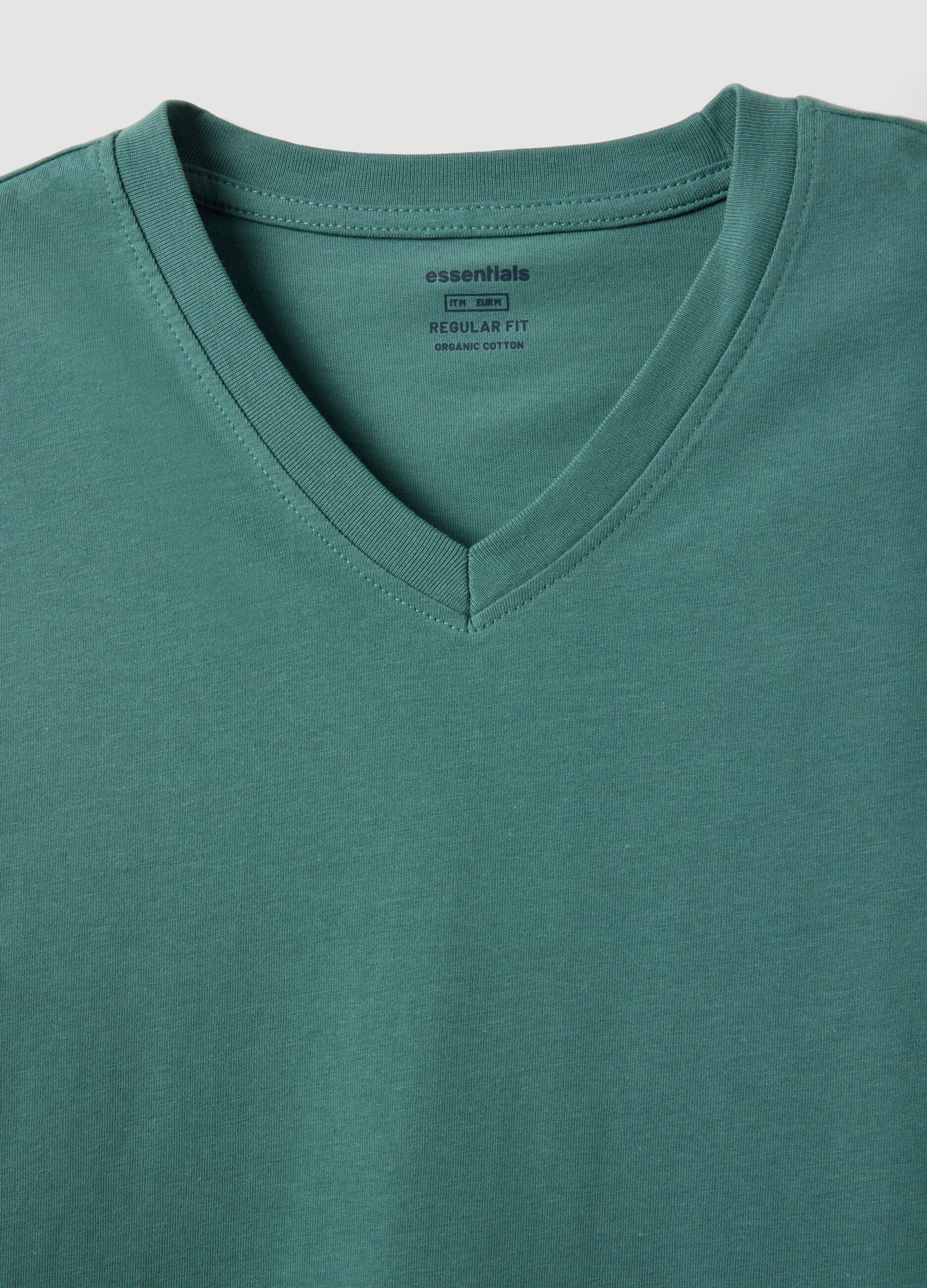 Green pure cotton V-neck regular fit T-shirt