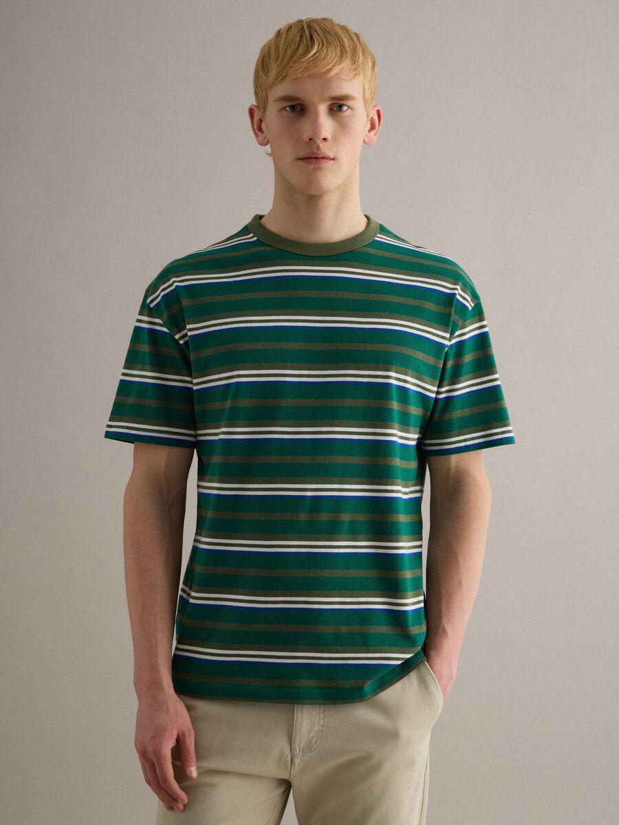 Pure Cotton Multicolour Striped T-shirt Regular Fit_0