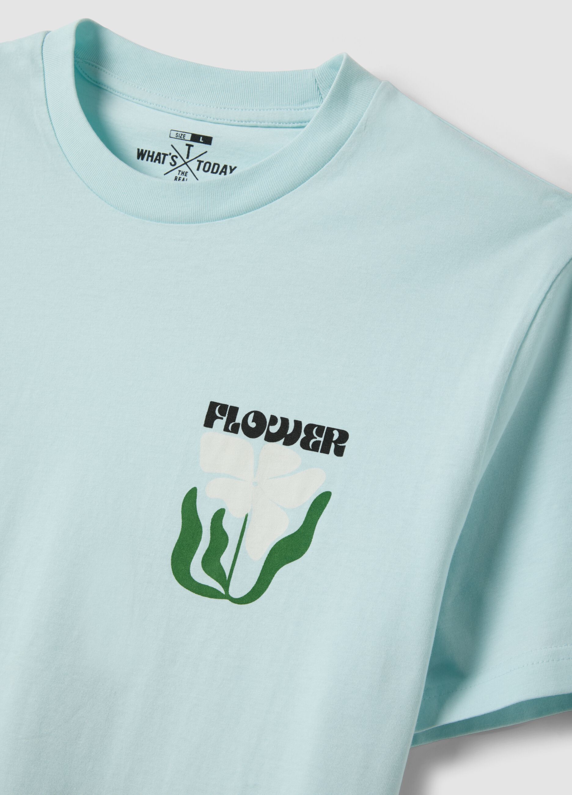 Light blue pure cotton jersey T-shirt with print, regular fit