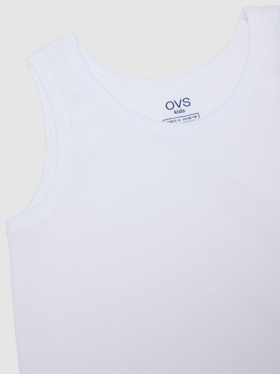Boys' multicolour pure cotton regular fit tank top twin pack_2